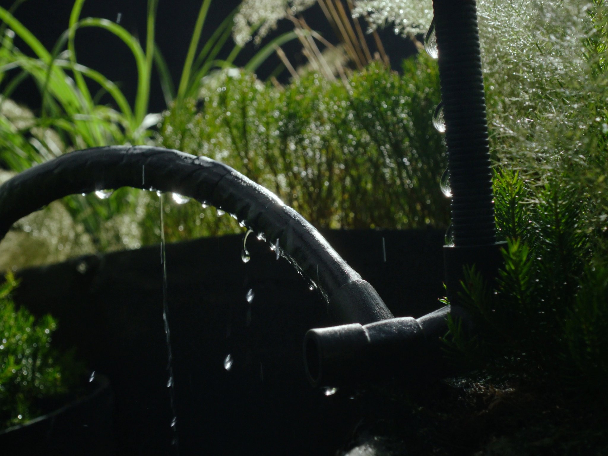 Irrigation & Sprinkler Systems